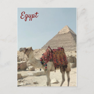 Belle carte postale orientale, Pyramides Camel Egy