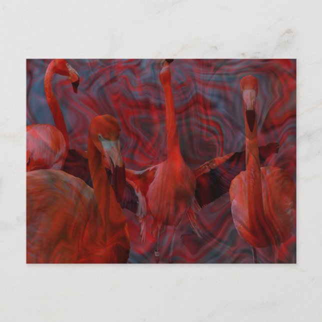 Belle carte postale rose "Flamant rose Dance" (Devant)