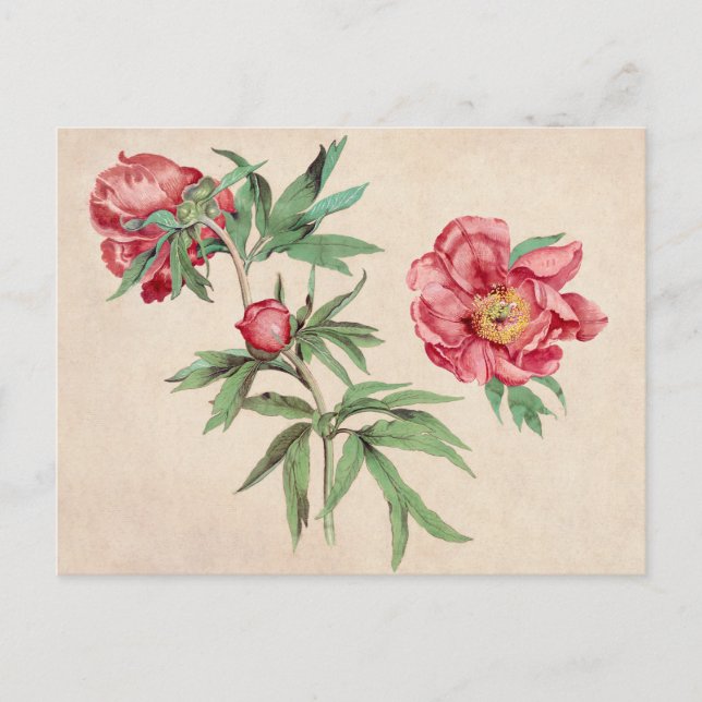 Belle carte postale Vintage d'illustration (Devant)