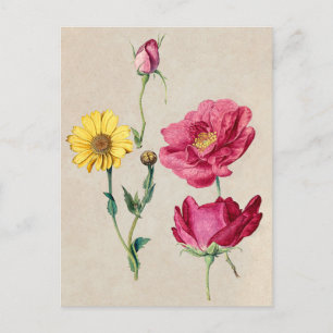 Belle carte postale Vintage d'illustration