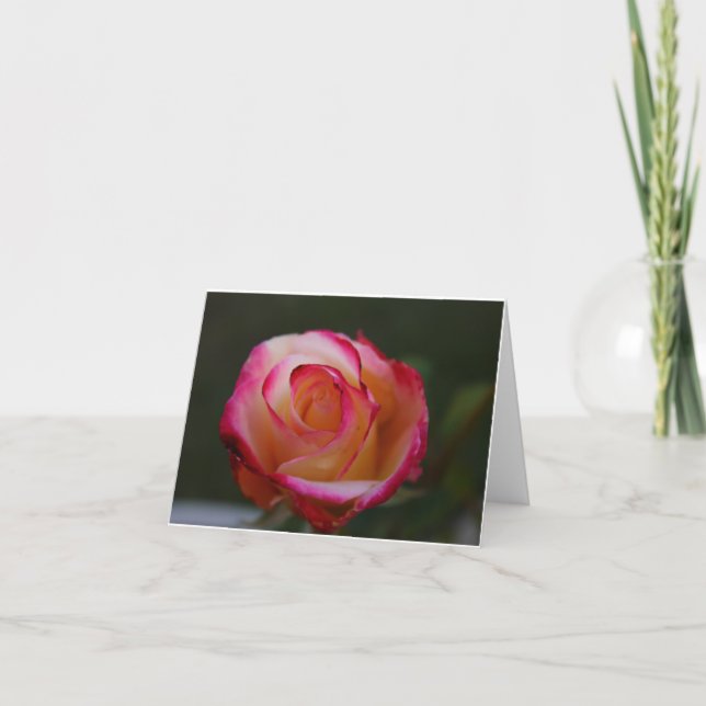 Belle carte Rose (Devant)