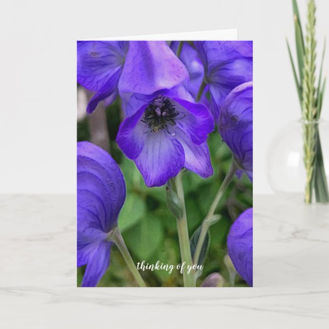 Belle Carte Sympathique Blue Delphiniums (Devant)