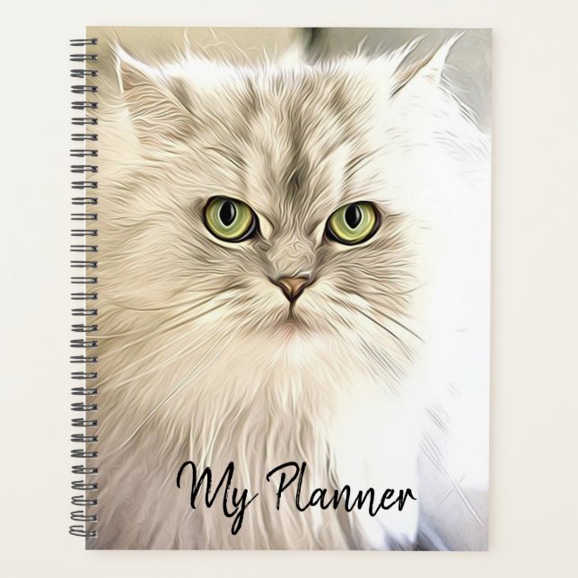 Belle Chat Blanc (Devant)