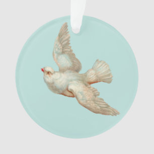 belle colombe blanche