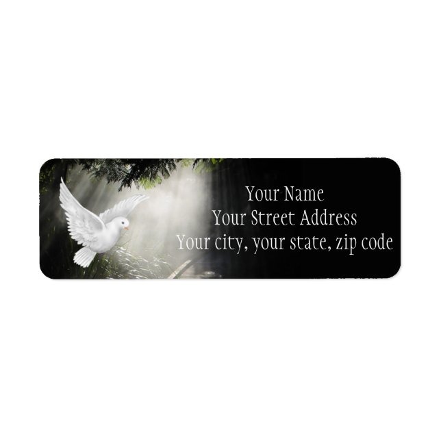 Belle colombe volante en rayon de soleil (Devant)