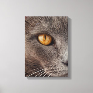 Belle copie animale de toile de visage