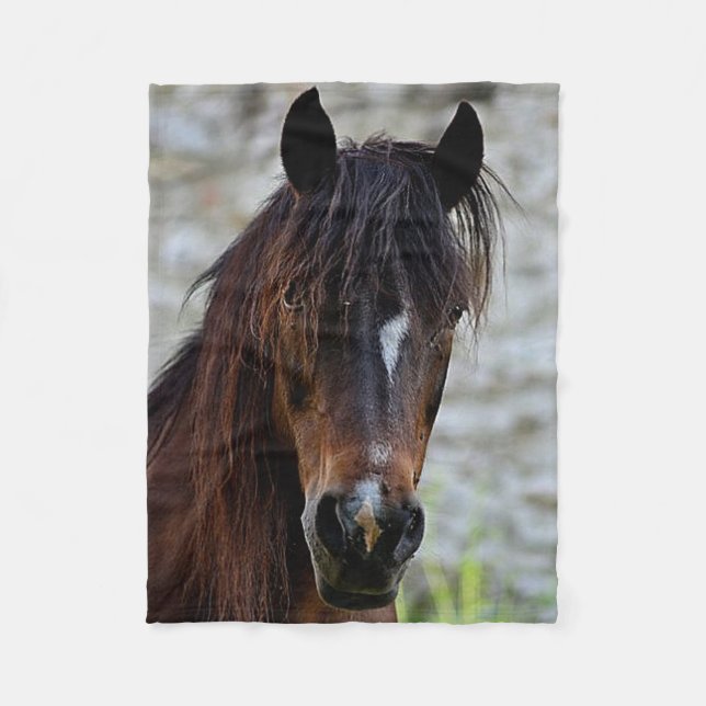 Belle couverture Brown d'ouatine de cheval (Devant)