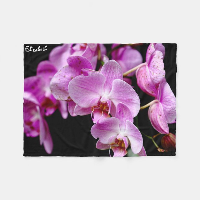 Belle couverture d'orchidée (Devant (Horizontal))