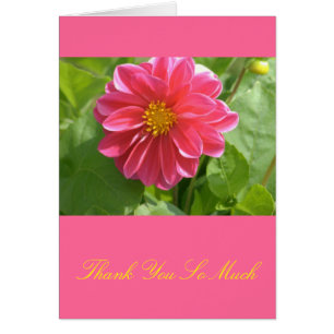 Belle Dahlia Rose