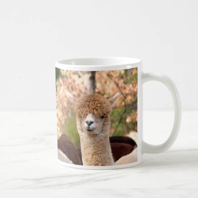 Belle de tasse d'alpaga (Droite)