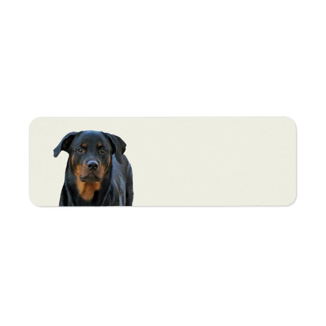 Belle étiquette d'adresse de retour Rottweiler (Devant)