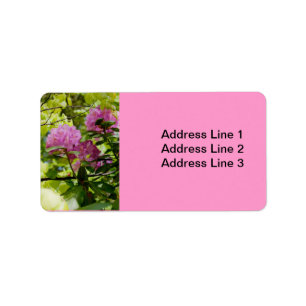 Belle Étiquette Rhododendron
