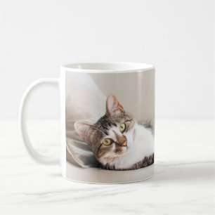 Belle Feline Ami Amoureux de les chats Photo Mug