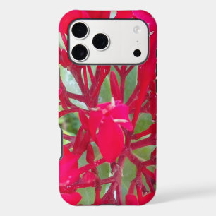 Belle fleur de sang Milkweed Art Imprimer/Graphiqu