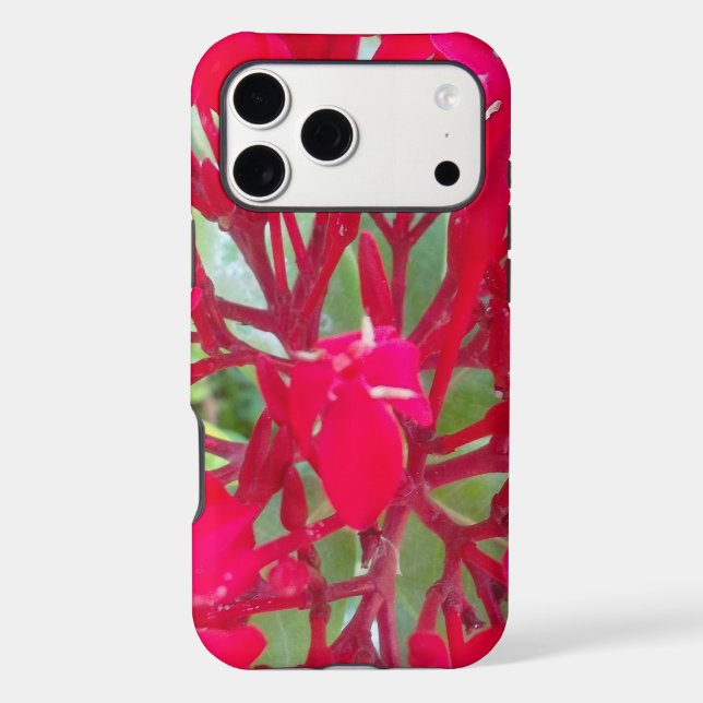 Belle fleur de sang Milkweed Art Imprimer/Graphiqu (Verso)