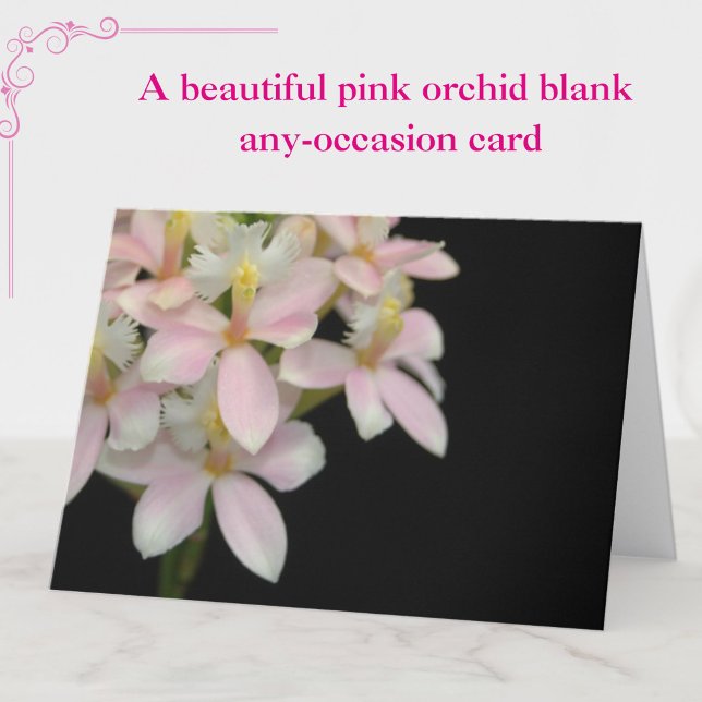 Belle fleur d'orchidée rose sur noir - carte blanc (A beautiful pink orchid floral blank, any-occasion card.)
