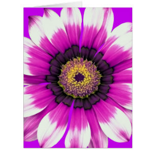 Belle fleur pourpre