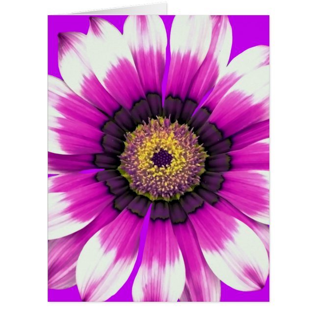 Belle fleur pourpre (Devant)