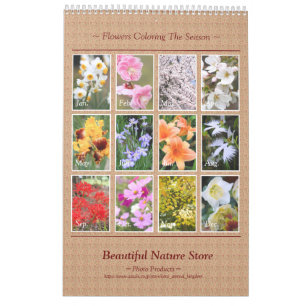 Belle Fleurs Calendrier Meilleur : Type B カ レ ン ダ 