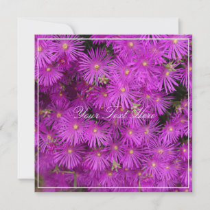 Belle Fleurs Roses Putples Votre Carte Plat Texte