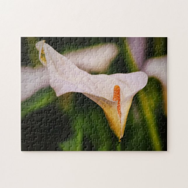 Belle floraison Calla Lily Garden Puzzle (Horizontal)