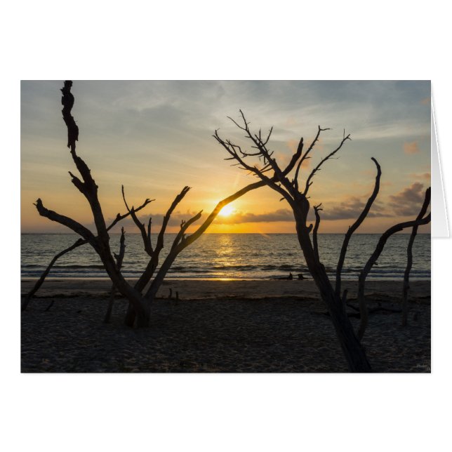 Belle folie matinale (Devant Horizontal)