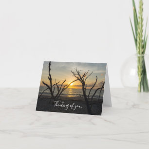 Belle Folly Matin Penser De Vous Carte