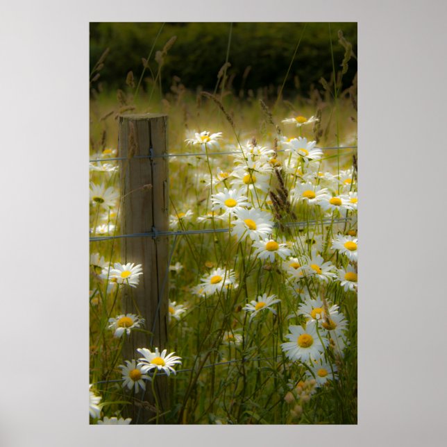Belle Grosse Poster / Imprimer (Devant)