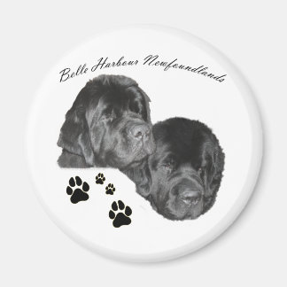 Belle Harbour Newfoundlands Magnet
