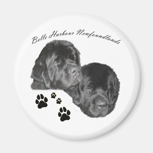 Belle Harbour Newfoundlands Magnet (Front)