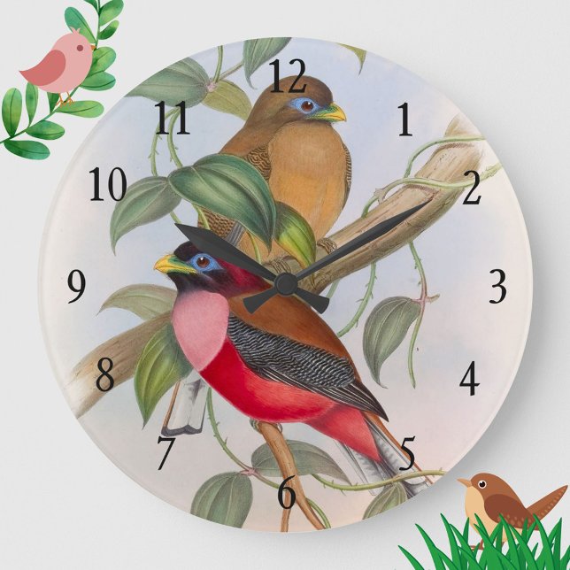 Belle horloge murale acrylique des Inséparables Vi (A beautiful and colorful vintage birds clock to liven up your space!)