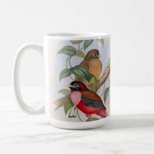 Belle illustration d'oiseaux Vintages Mug