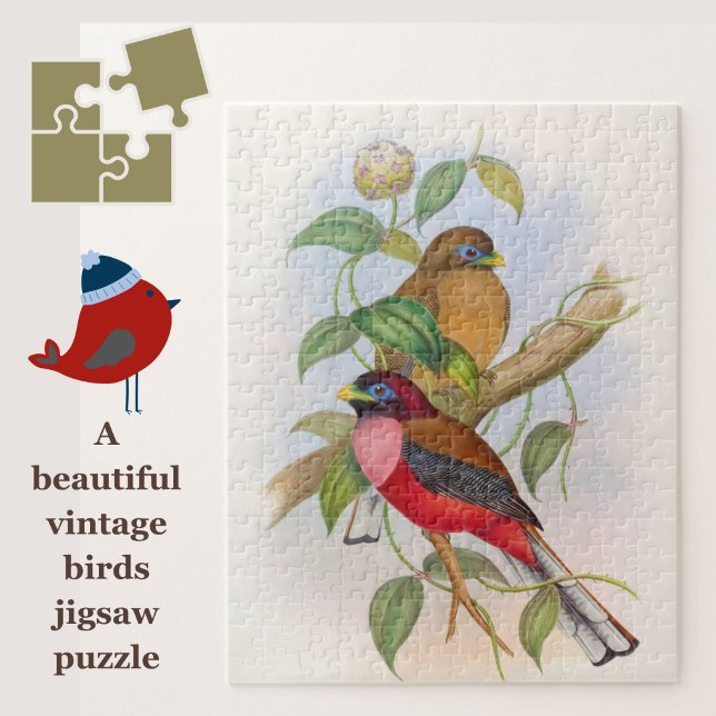 Belle illustration d'oiseaux Vintages Puzzle (This vintage bird jigsaw makes a great gift for puzzle-lovers!)