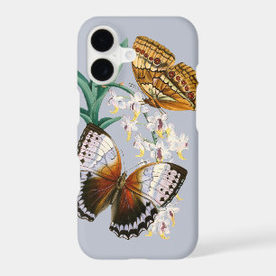Belle illustration Vintage de papillon floral