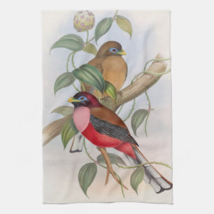 Belle illustration Vintage d'oiseaux Serviette de