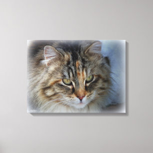 Belle impression sur toile de chat sauvage