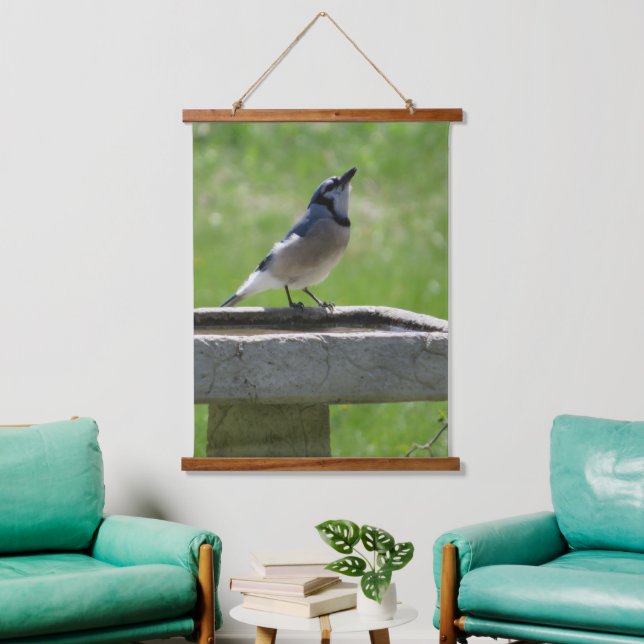 Belle Jay Bleu Boire Suspendu Tapisserie (Salon)