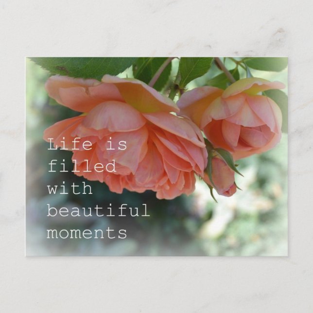 Belle Moments Carte postale Rose (Devant)