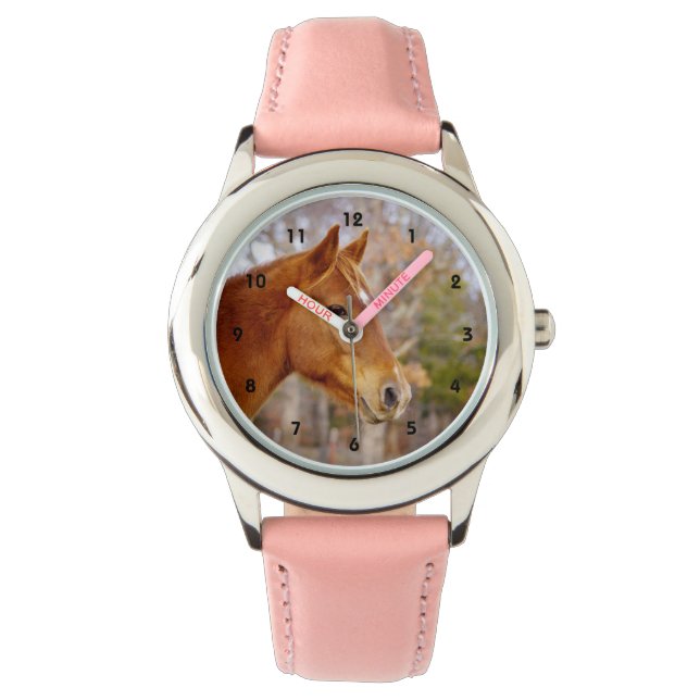 Belle montre Cheval de Châtaignier (devant)