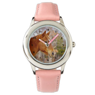 Belle montre de cheval de châtaigne