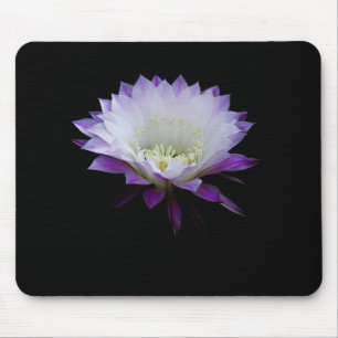 Belle of the ball, night blooming cactus mouse pad