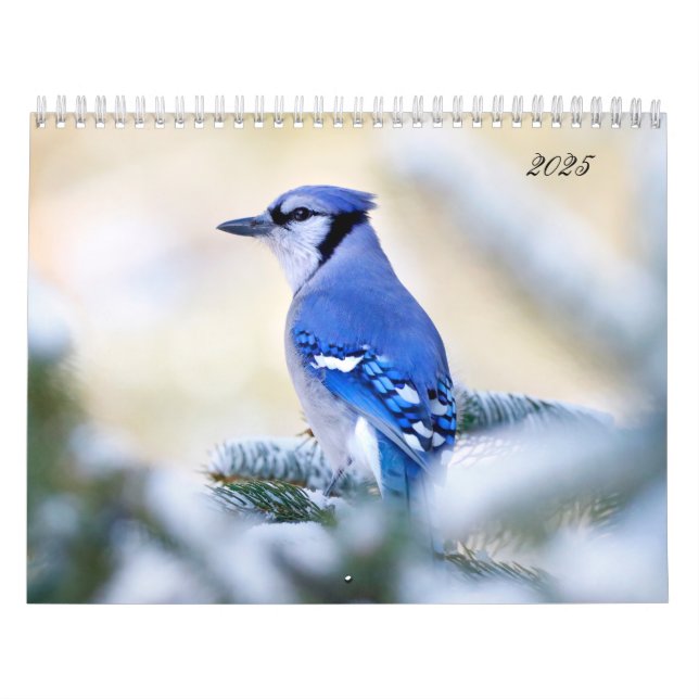Belle Oiseau Photographie Mur Calendrier Chanson O (Protection)