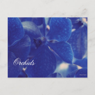 Belle Orchidées Bleues !, Carte postale Modèle Vid