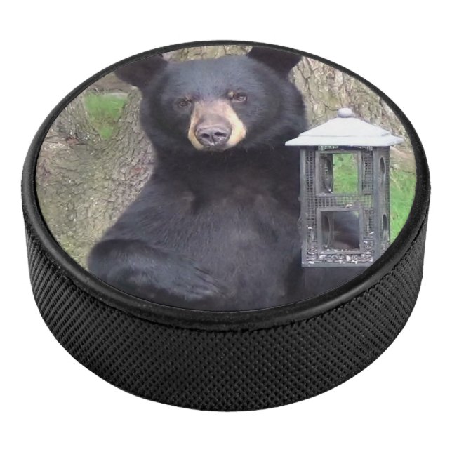 Belle Ours Noir (3/4/2016 12:00:00 AM)