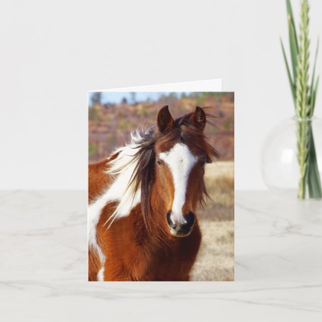 Belle Paint Horse Cartes d'Anniversaire (Devant)