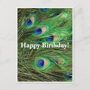 Belle Peacock personnalisable carte postale Annive