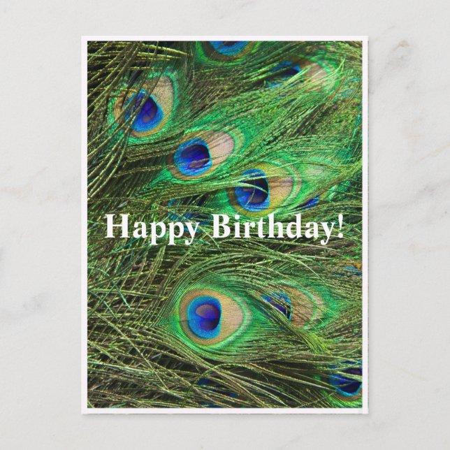 Belle Peacock personnalisable carte postale Annive (Devant)