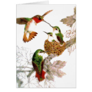 Belle photo de colibris