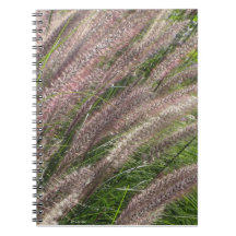 belle photo nature, pampas grass - journal