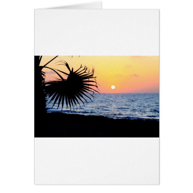 BELLE PLAGE ENSOLEILLÉE (Devant)